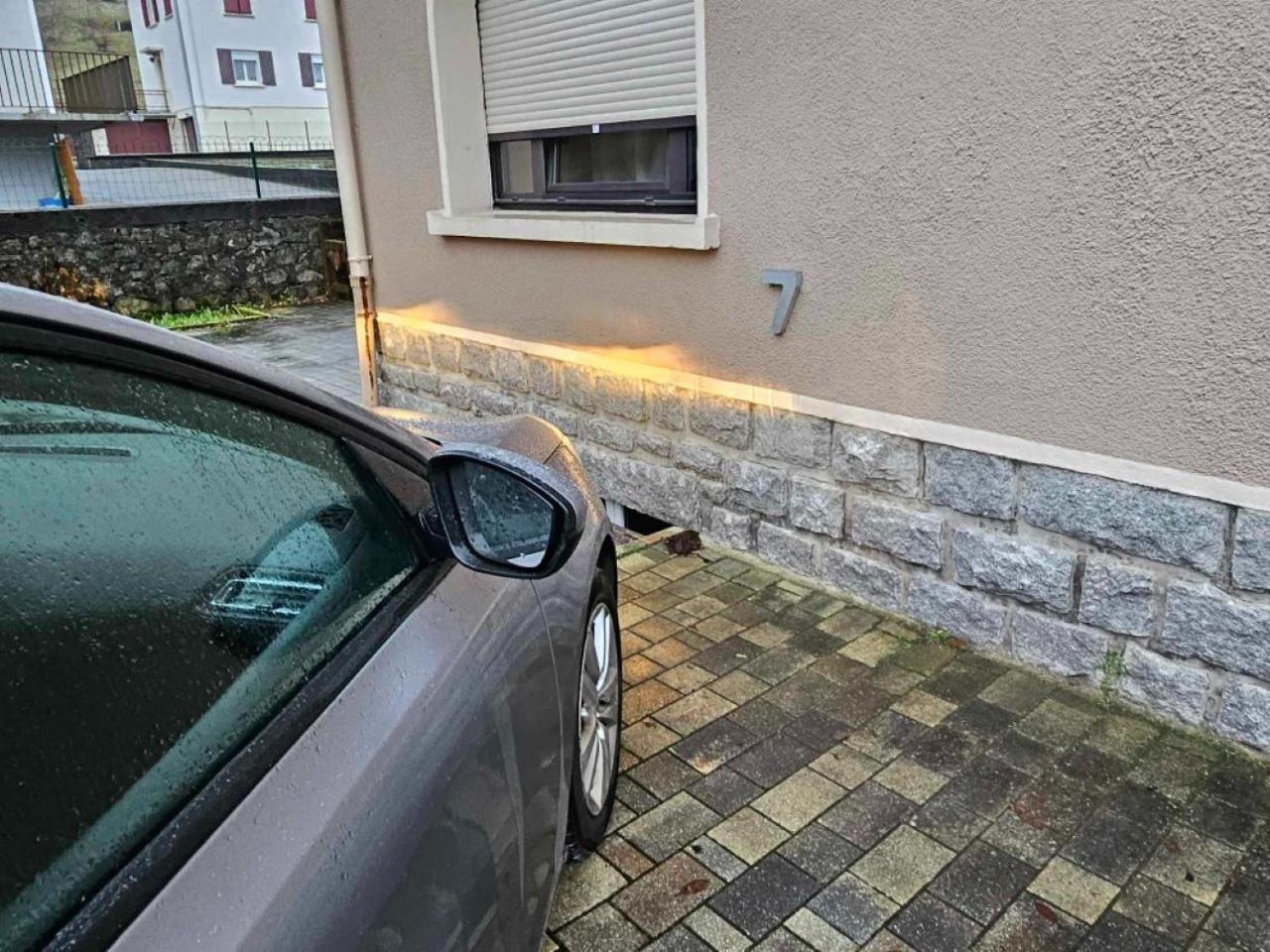 Type Apartment Gerardmer