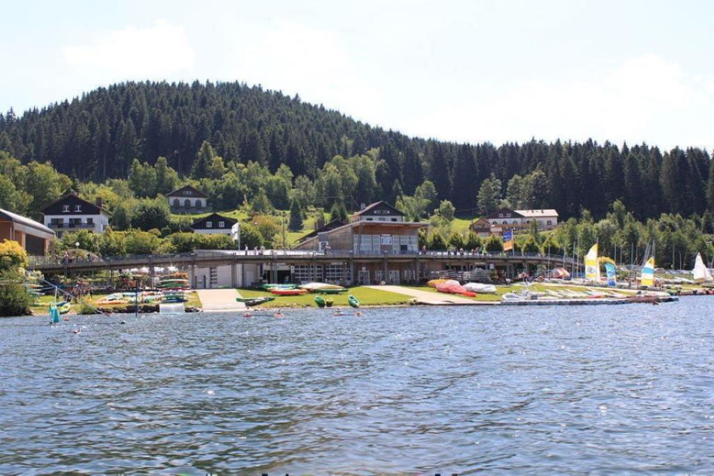 Type Apartment Gerardmer